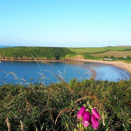 A Beach Holiday In Pembrokeshire المظهر الخارجي الصورة