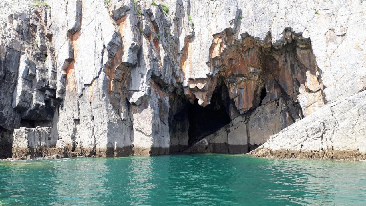 A Beach Holiday In Pembrokeshire المظهر الخارجي الصورة