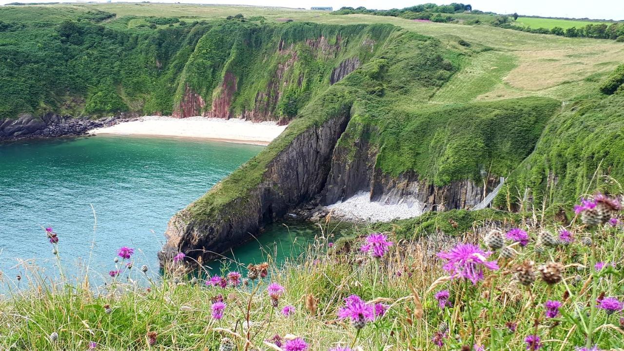 A Beach Holiday In Pembrokeshire المظهر الخارجي الصورة